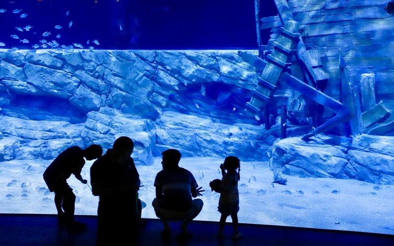 The aquarium is the choice of many families for some weekend fun.